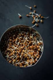 Sprouts - Brown/Black Channa (200 Gms Box)