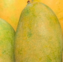 Organic Mallika Mango - Premium (₹160/kg)
